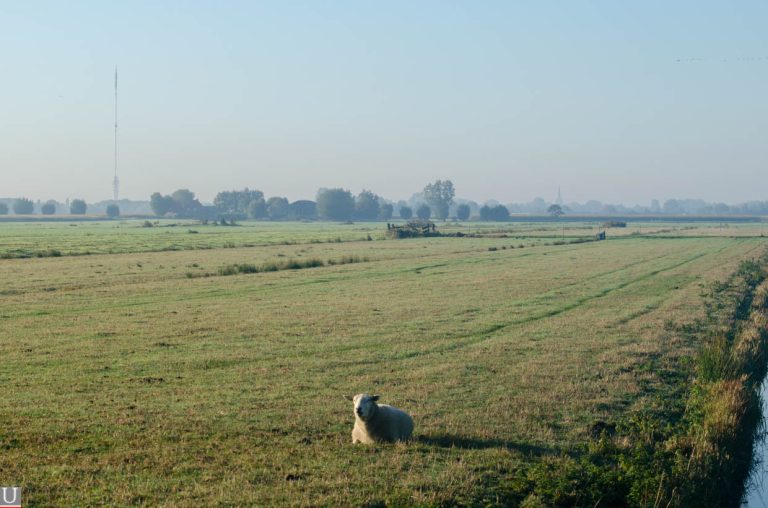 Heycopperkade, polder Rijnenburg