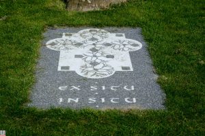 Maximapark, Ex Situ In Situ